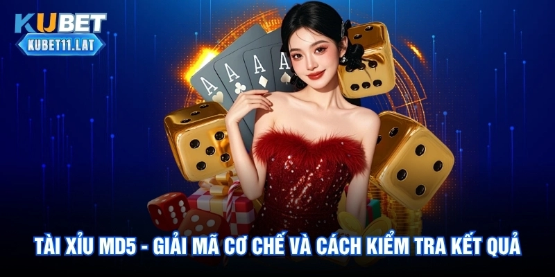 Tài Xỉu MD5 - Giải Mã Cơ Chế Và Cách Kiểm Tra Kết Quả