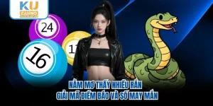 Nằm Mơ Thấy Nhiều Rắn - Giải Mã Điềm Báo Và Số May Mắn